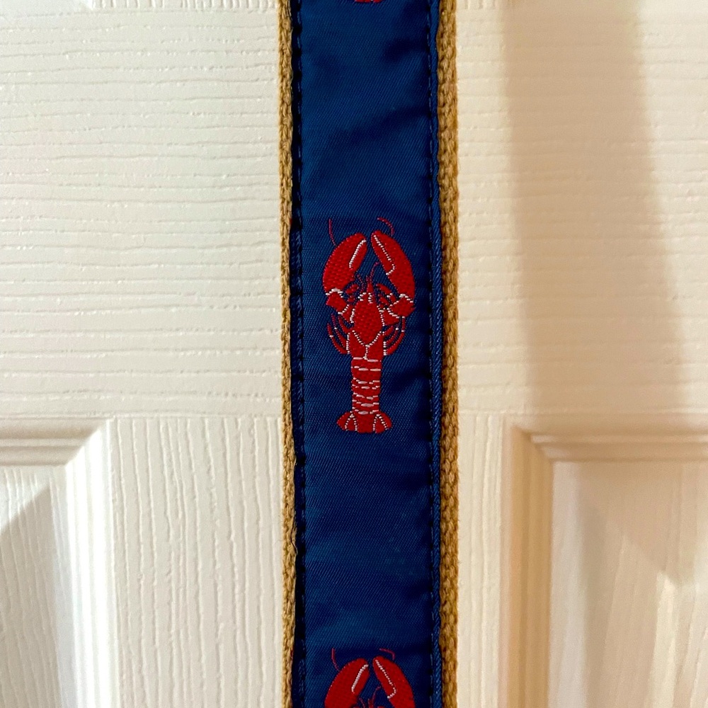 Buddy Belt - Lobster